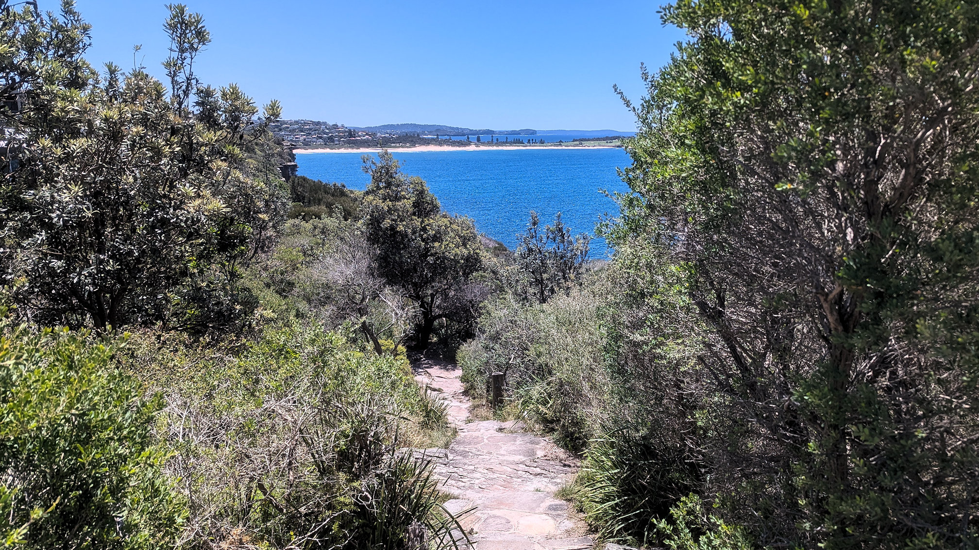 dy_curlcurl track (11)